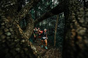 BIB: 
                            <button type="button" onclick="openModal(25673285)" class="btn btn-primary btn-sm float-right btn-popup" data-toggle="modal" data-target=".modal-high-quality">
                        <i class="fas fa-shopping-cart"></i> Add to Cart
                    </button>
                                            <button type="button" onclick="isThisMe(25673285, true)" class="btn btn-success btn-sm float-right btn-popup btn-isme hidden" data-toggle="tooltip" data-placement="bottom" title="นี่คือรูปของคุณใช่ไหม คลิกที่นี่เพื่อเอาเข้าอัลบั้ม">
                        <i class="fas fa-plus"></i> Add to album
                    </button>
                    <button type="button" onclick="isThisMe(25673285, false)" class="btn btn-warning btn-sm float-right btn-popup btn-isnotme hidden">
                        <i class="fas fa-ban"></i> Remove from album
                    </button>